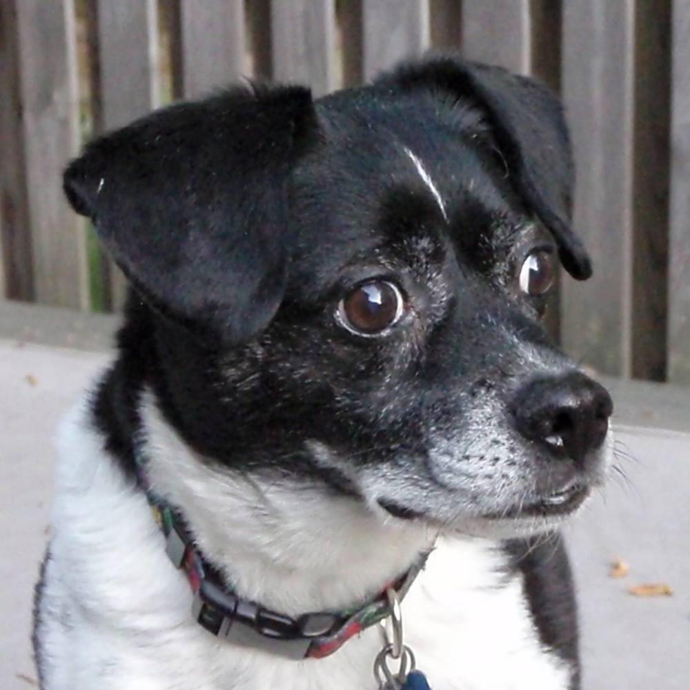 Meet your Posher, Marilyn